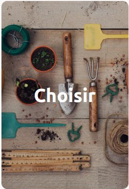 Choisir